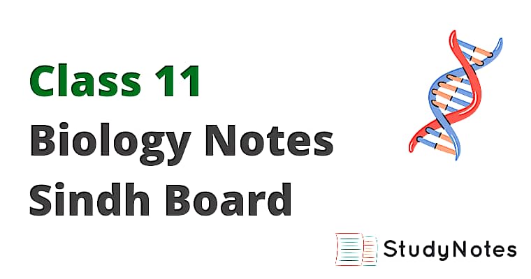 Biology Notes For Class 11 Sindh Board