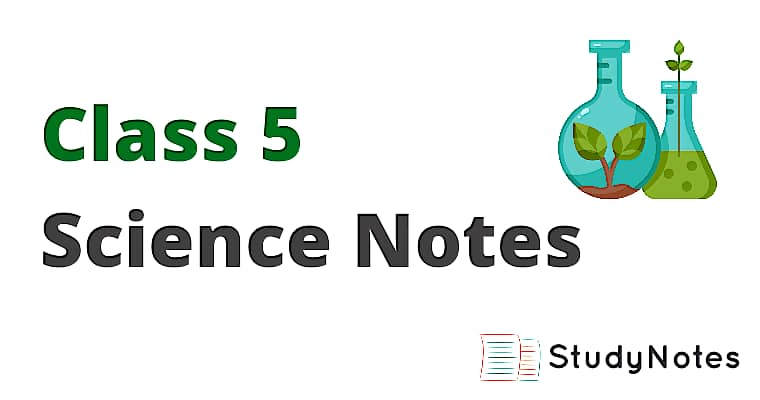 Class 5 Science Notes